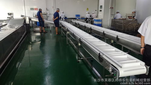 食品行業(yè)專用輸送線定制解決方案 高效、衛(wèi)生、多功能